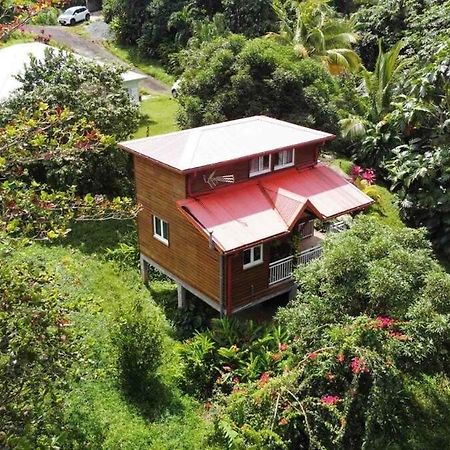 Mahogany Lodge - Oasis Cosy Rivière-Pilote Esterno foto