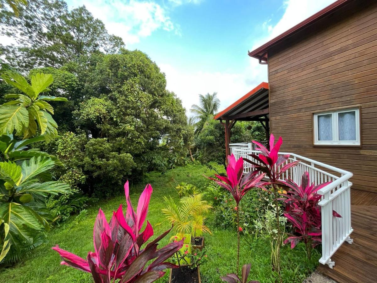 Mahogany Lodge - Oasis Cosy Rivière-Pilote Esterno foto