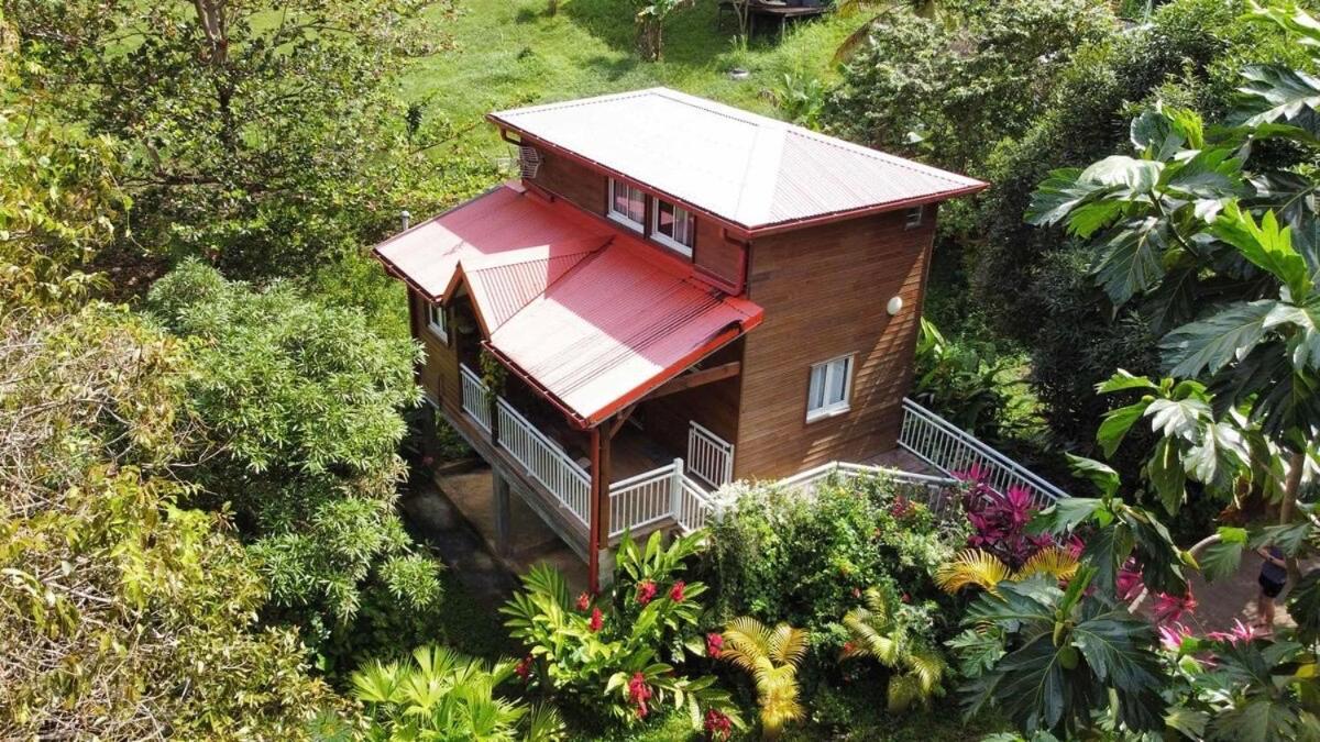Mahogany Lodge - Oasis Cosy Rivière-Pilote Esterno foto