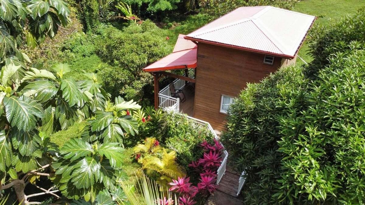Mahogany Lodge - Oasis Cosy Rivière-Pilote Esterno foto
