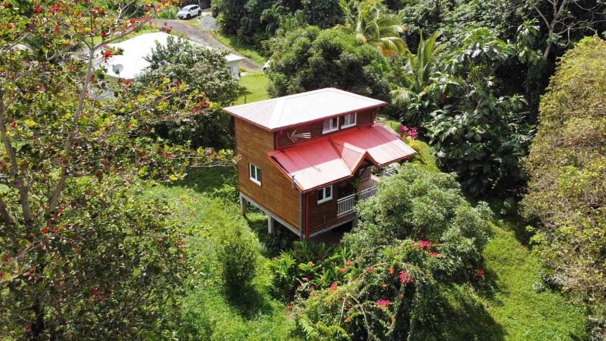 Mahogany Lodge - Oasis Cosy Rivière-Pilote Esterno foto